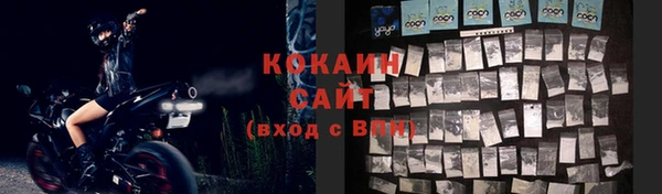 стаф Баксан