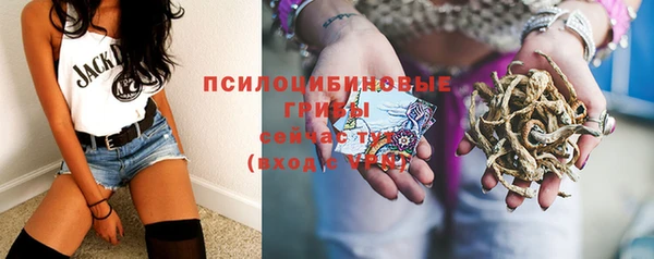 гидра Гусев