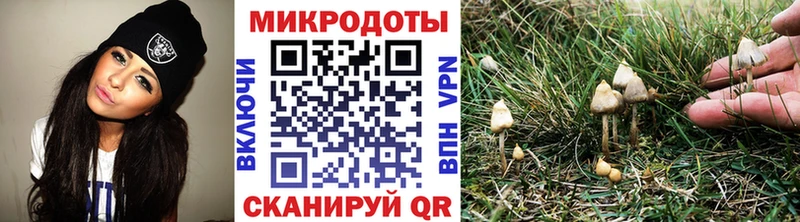 Галлюциногенные грибы ЛСД  OMG как войти  Унеча 