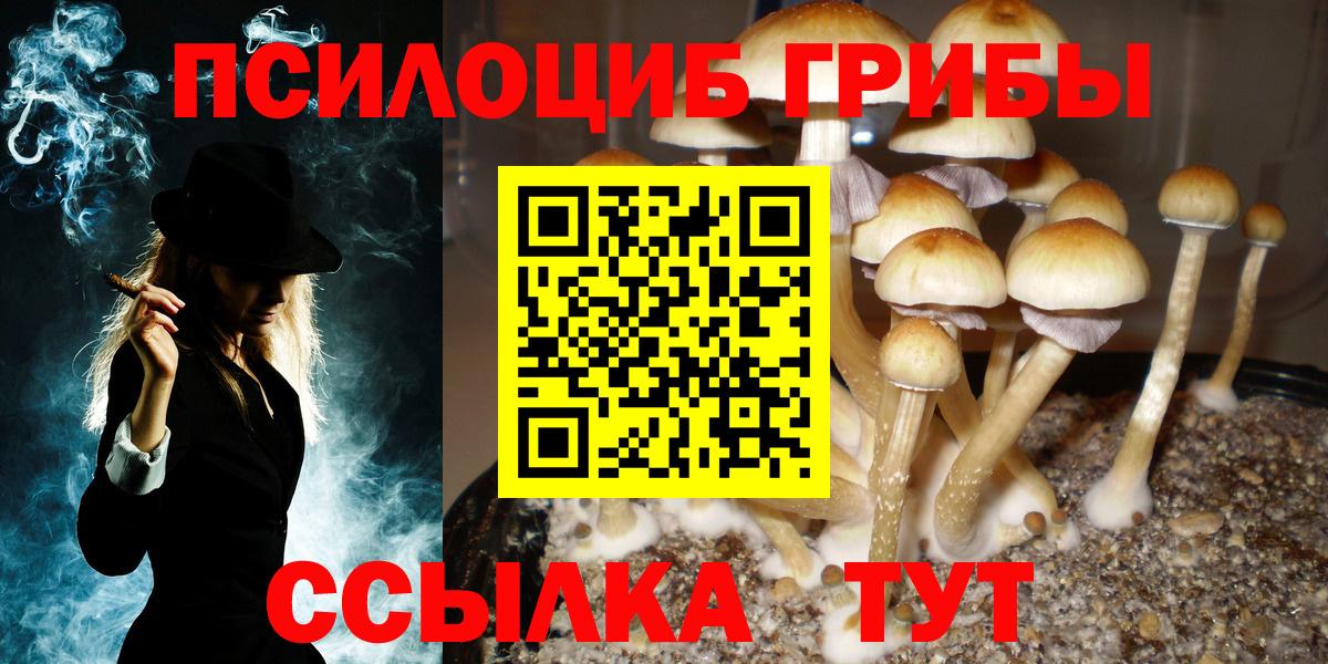 Унеча  Псилоцибиновые грибы ЛСД  Псилоцибиновые грибы мухоморы  Вход с VPN 